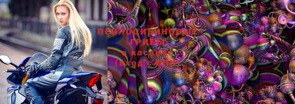 хмурый Алексеевка