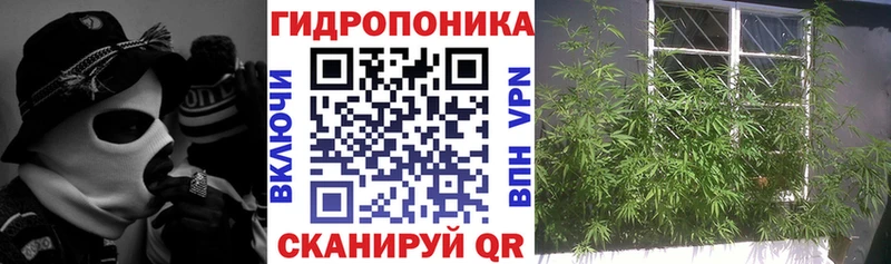 Канабис ГИДРОПОН Перевоз